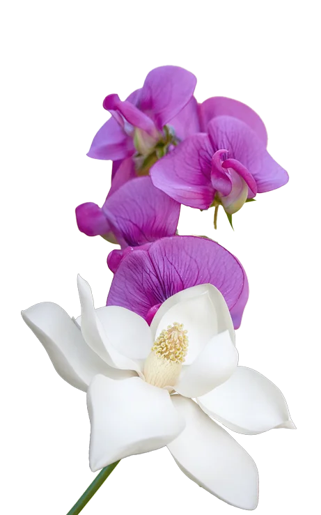 Flower1.png