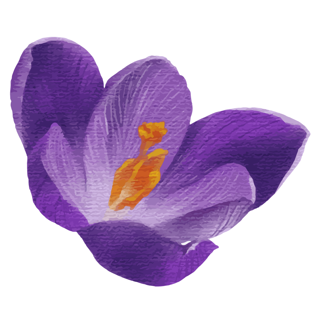 Flower3.png