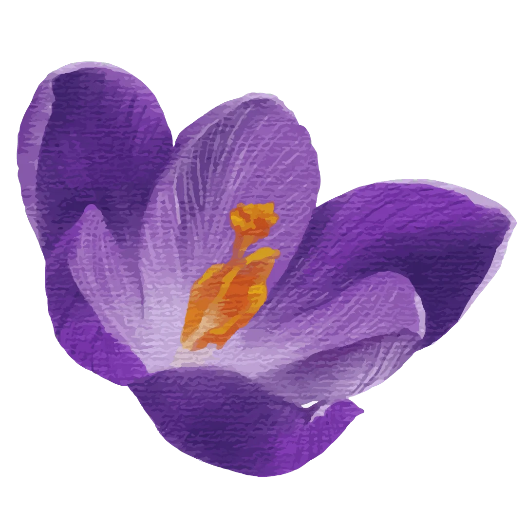 Flower3.png